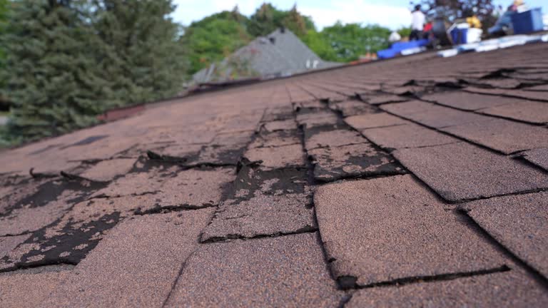 Best Roof Insulation Installation  in South Daytona, FL