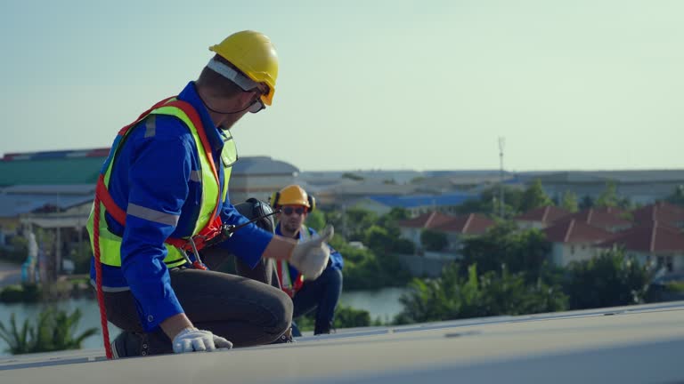 Best Roof Moss and Algae Removal  in South Daytona, FL