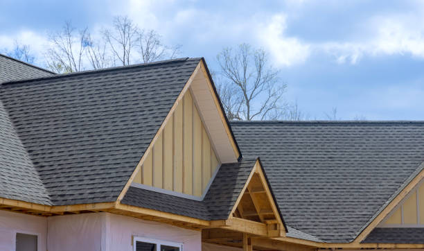 Best Asphalt Shingle Roofing  in South Daytona, FL