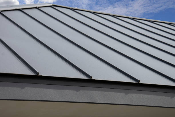 Best Asphalt Shingles Roofing  in South Daytona, FL